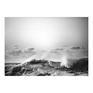 Storm 1 by Daniel Weiss Print, 20" x 30"