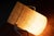 Fibreglass Table Lamps, Set of 2 For Sale - Image 6 of 10