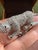 Bochic “Orient” Vintage White Sapphire & Ruby Panther Ring Set In 18 K Gold & S For Sale - Image 13 of 14