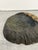 Modernist Studio Crafted Ashtray or Catch-All Bowl, Brazil 1990s For Sale - Image 9 of 12