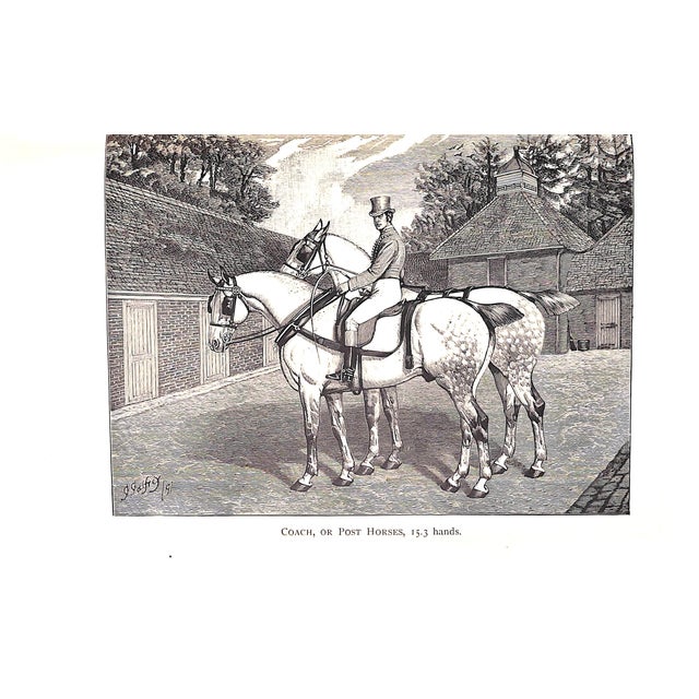 Late 19th Century "The Harness Horse" 1898 Gilbey, Sir Walter Bart. For Sale - Image 5 of 6