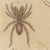 Beige Bertuch, Whip Scorpion, Tarantula and Red Mite, 1820, Print For Sale - Image 8 of 12