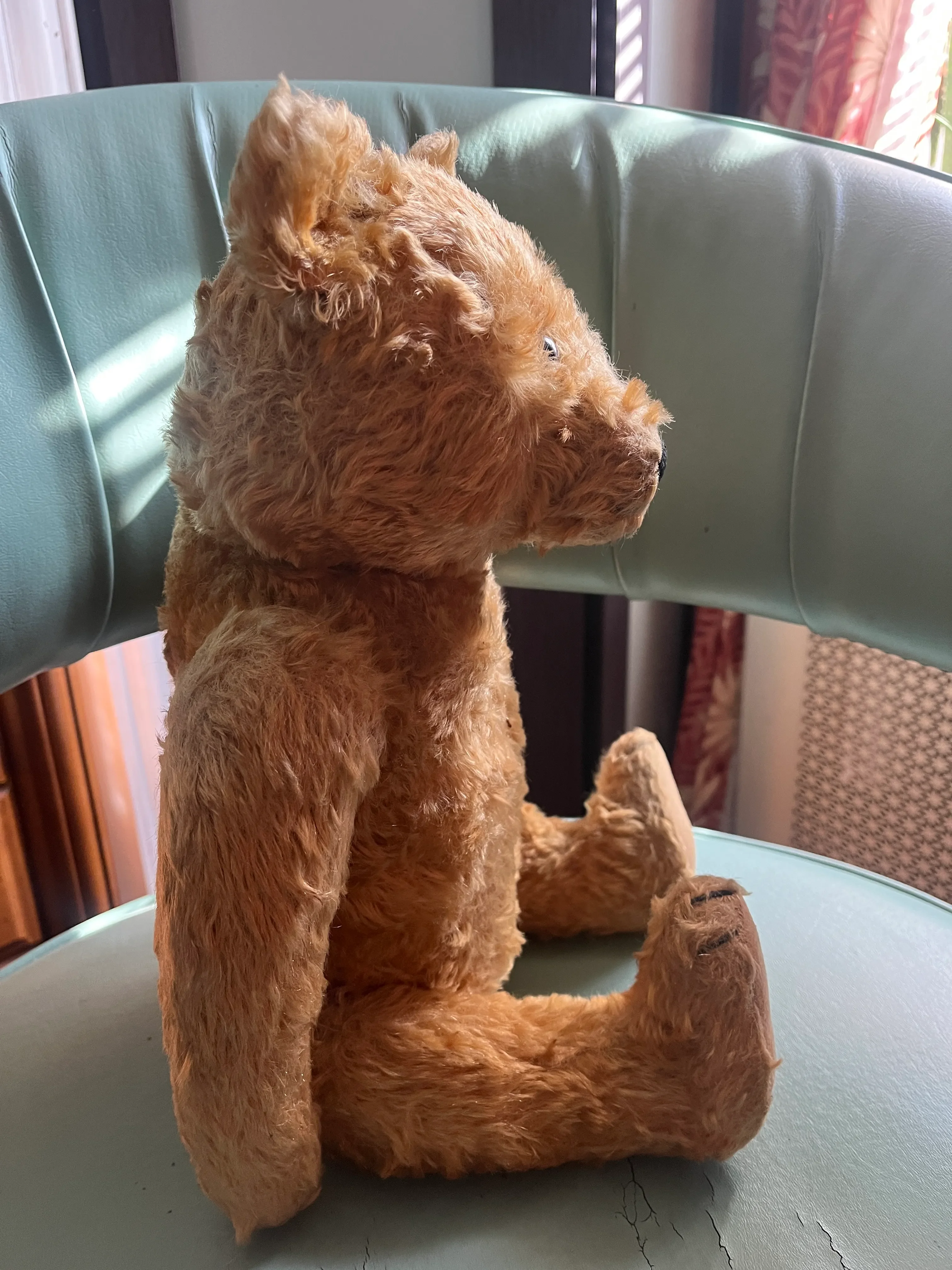 1940s Steiff Bear, Made in Germany | Chairish