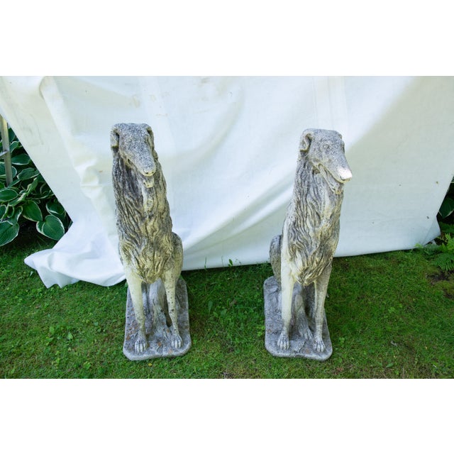 This is a very rare and an exquisite pair of Borzoi dogs also known as Russian Wolfhounds. They are cast stone and from...