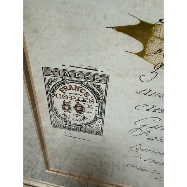 Botanical Collection Plates, Set of Two For Sale - Image 4 of 12