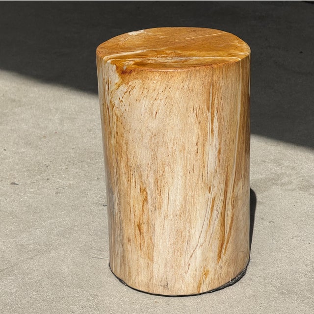 Small Side Table in Orange Petrified Wood, 1980s For Sale - Image 15 of 18