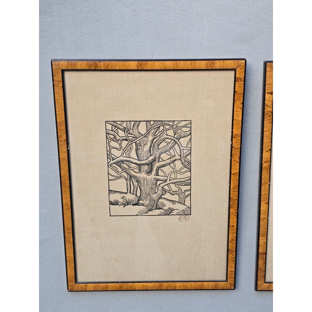 French Mid 20th Century Aristides Maillol Woodcut Trees For Sale - Image 3 of 8