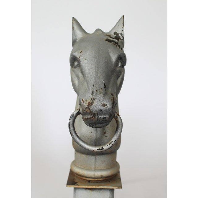 Metal Pair of Vintage Cast Iron Horse Head Andirons For Sale - Image 7 of 13