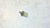 Early 20th Century Early 20th Century Imperial Gilt Silver Egg Puppy Pendant With Ruby Eyes by Theodore Ringe For Sale - Image 5 of 10