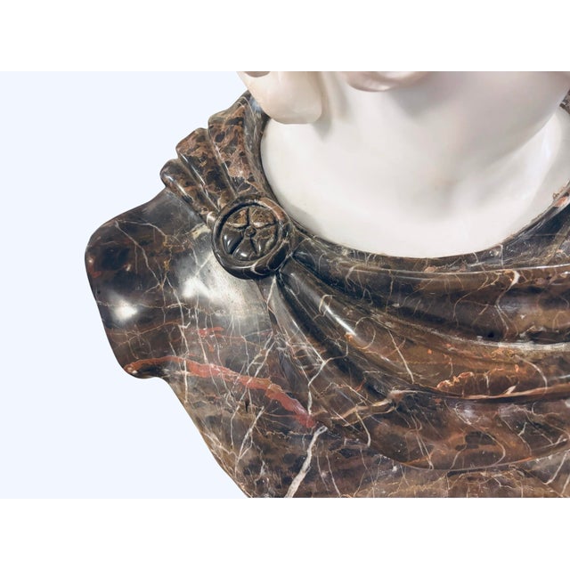 Late 20th Century Monumental Apollo Belvedere Marble Bust on Veined Carrara Marble Pedestal For Sale - Image 11 of 12