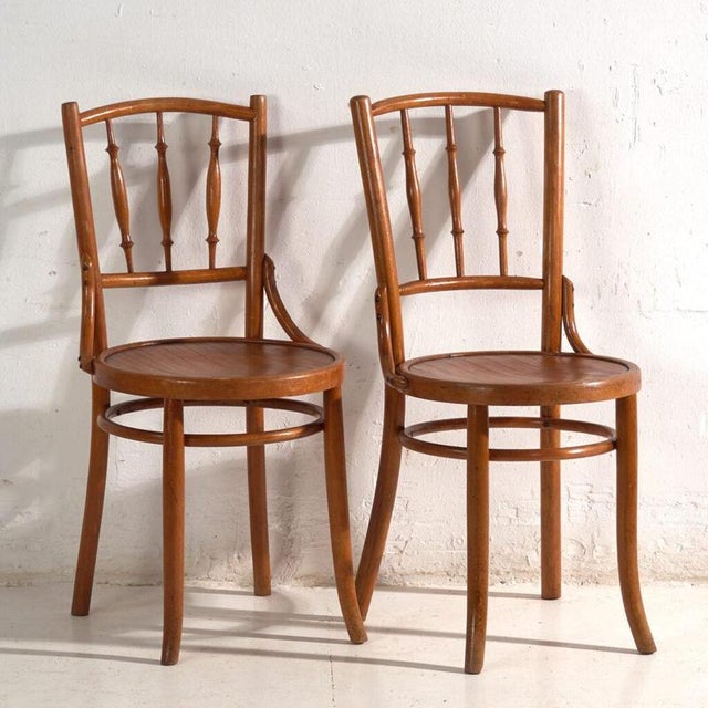 A set of two antique chairs in bentwood, with a curved crest rail over vertical splats and a moulded board seat....