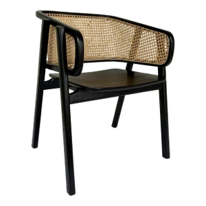 Noir Co. Modern Black Lacquer Caned Delphi Accent Char