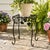 A charming vintage black metal garden plant stand featuring an open grid top, scrolling vine motif, stylized leaf details,...