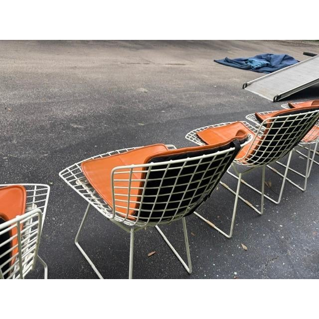 1960s Set of 6 Harry Bertoia for Knoll Wire Chairs Leather Cushions For Sale - Image 4 of 10