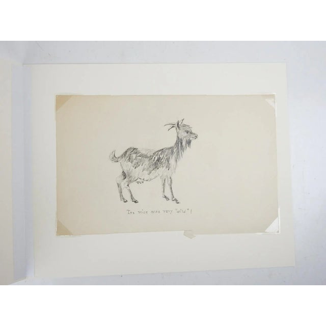 Vintage early 20th century pencil on tan paper drawing of a mama goat. Unsigned, captioned It's Milk Was Very "Wild"!...
