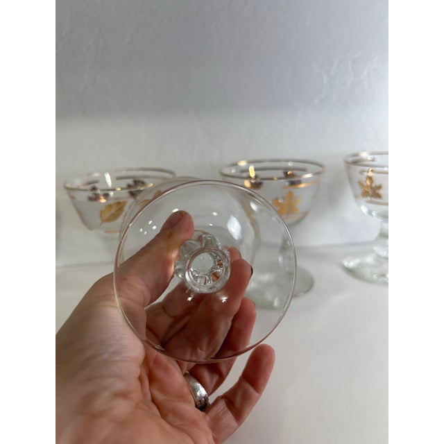 1950s Set of 5 Libbey Glass Golden Foliage Champagne Coupes or Dessert Glasses For Sale - Image 10 of 10