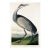 Whooping Crane, Vintage Art Print Reproduction From Birds of America by John James Audubon, 16" X 24" For Sale