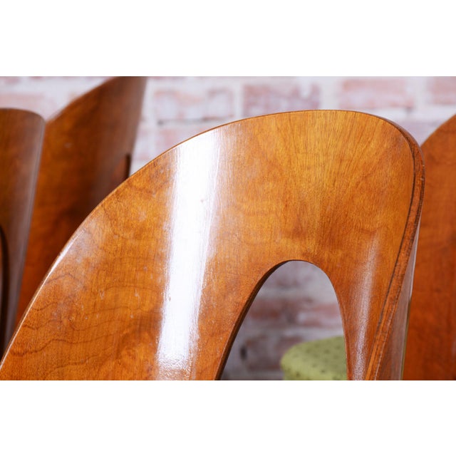 Mid-Century Modern Mid-Century Chairs in Walnut attributed to Antonín Šuman, Czech, 1950s, Set of 4 For Sale - Image 3 of 12