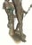 Chestnut Large 34" Antique Grand Tour Mythological Roman Bronze Sculpture of Pan or a Youthful Faun For Sale - Image 8 of 18