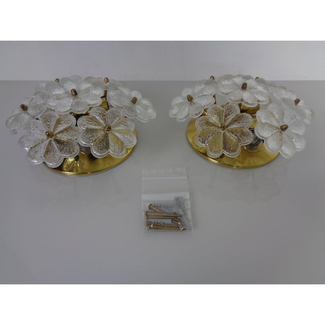 Brass and Crystal Glass Flower Sconces by Ernst Palme for Palwa, 1960s, Set of 2 For Sale - Image 6 of 18