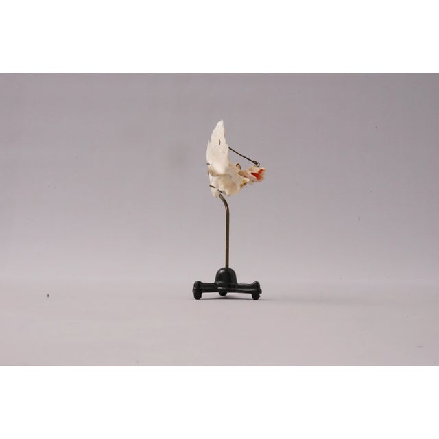 Medical Ear Recreation Object, 1900s For Sale - Image 6 of 12