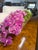2010s Botanical Mix Potted Arrangements For Sale - Image 5 of 9