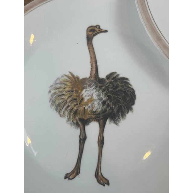 1980's Vintage Mottahedeh Exotic Animals Dinner Plates - Set of 5 For Sale In Houston - Image 6 of 11