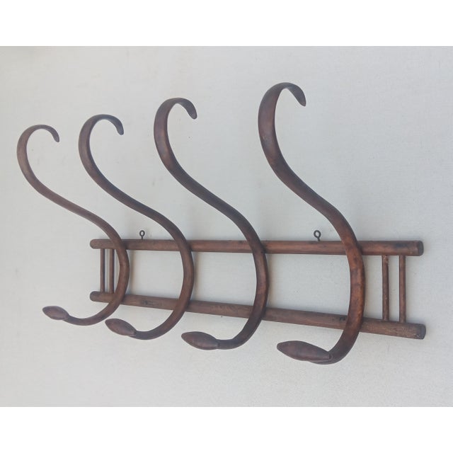 Vintage Wall Coat Rack in Bentwood, 1950s For Sale - Image 3 of 6