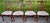 Vtg. Set of Four Heavily Carved Chippendale Style Cherry Side Dining Chairs For Sale - Image 11 of 16