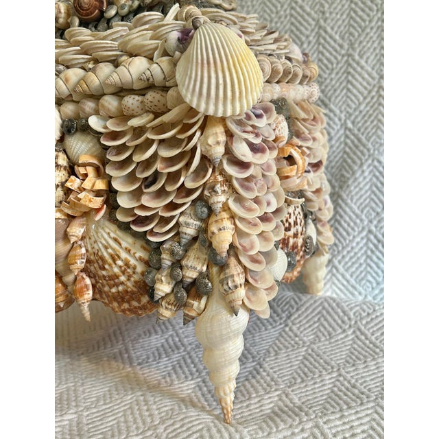 Contemporary Large Shell Encrusted Palm Beach Regency Box Attributed to Currey and Company For Sale - Image 9 of 12