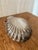 Rococo Mid 20th Century Rocco Silver-Plated Shell For Sale - Image 3 of 5