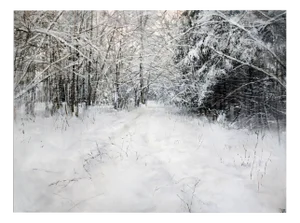Janis Zingitis, Winter Road in the Forest, 2023, Oil on Canvas