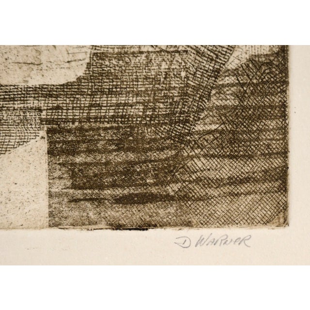 Paper "Still Life" - Etching in Ink on Paper (Artist's Proof) by Doris Warner For Sale - Image 7 of 7