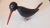Folk Art Wooden Blackbird Crow Bird For Sale - Image 10 of 11