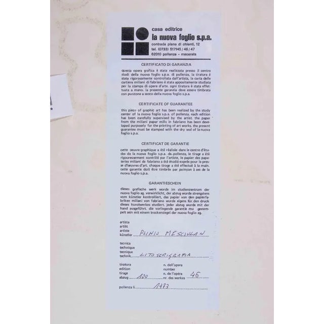 Plinio Mesciulam, Abstract Composition, Original Lithograph, 1973 For Sale - Image 3 of 4