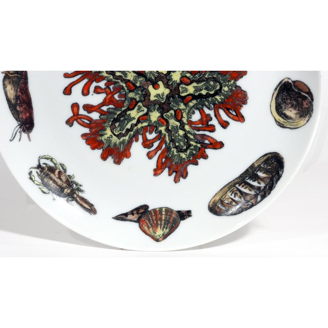 Piero Fornasetti Piero Fornasetti Conchiglie Seashell Porcelain Plate No. 2, Sea Star and Coral Milan, Circa 1960–1970 For Sale - Image 4 of 6