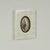 Pair of Petite Bone Framed Seashell Prints For Sale - Image 9 of 16