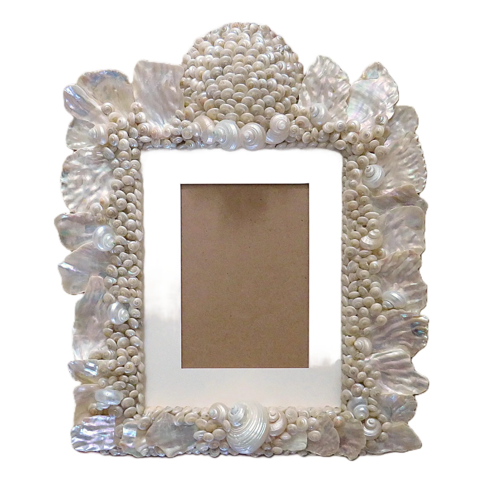 Sea Shell Picture Photo Frame Coastal | Chairish