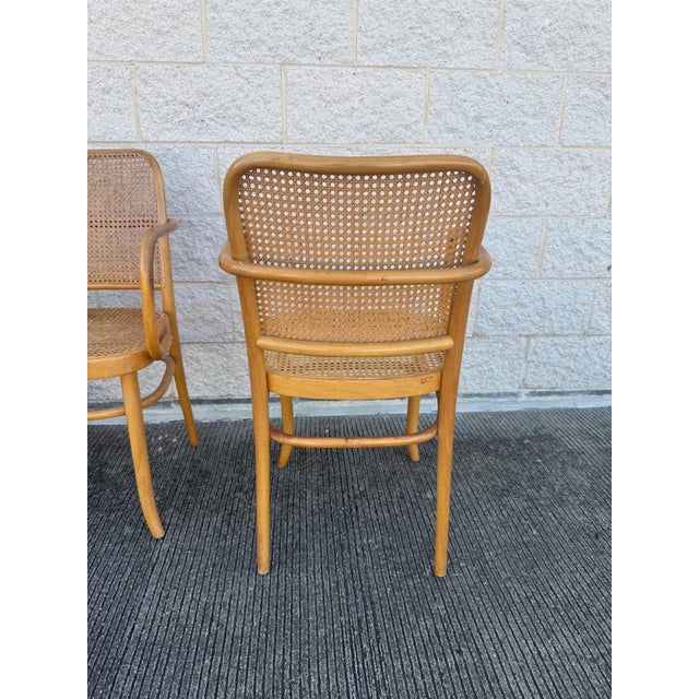Mid 20th Century A Set of Four Mid Century Thonet Style Bentwood Prague Chairs Chairs For Sale - Image 5 of 11
