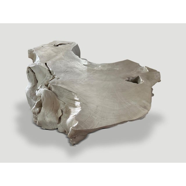 Andrianna Shamaris Bleached Teak Wood Coffee Table For Sale In New York - Image 6 of 18