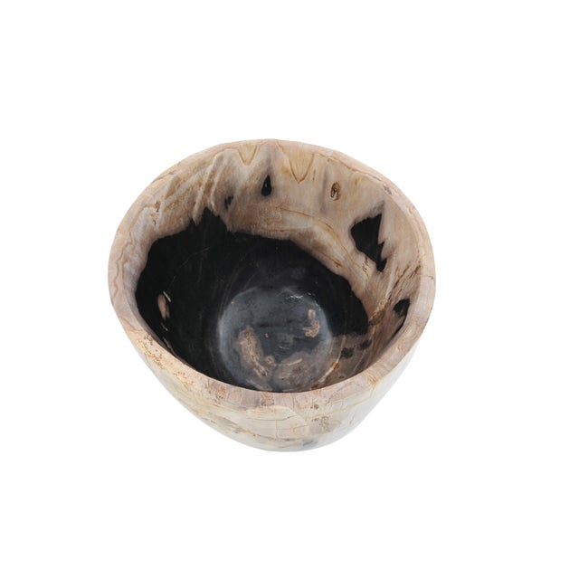 This exceptional petrified wood planter is a unique natural object formed over millions of years in Indonesia. Once a...