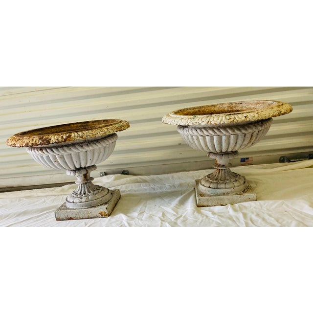 Early 20th Century Large Pair Antique White & Rust Neoclassical Iron Garden Planters Early 20th Century For Sale - Image 5 of 10
