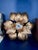 Wall Sconce with Petals in Gilded Sheet Metal, 1970 For Sale - Image 6 of 6