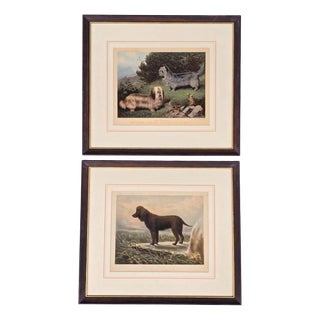 Vero Shaw, Cani Skye Terriers, Irish Water Spaniel Captain, 1800s, Lithographs, Set of 2 For Sale