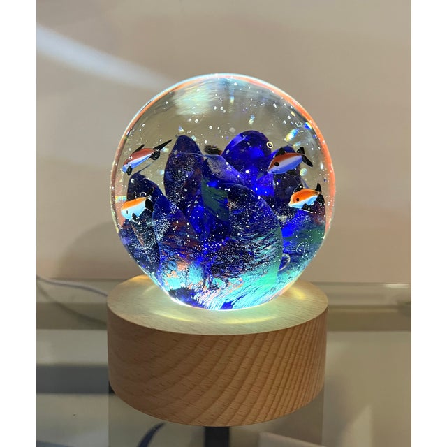 Murano Glass Aquarium Fish Paperweight, Italy, 1960s For Sale - Image 13 of 18
