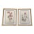 Vintage Botanicals Set of 2- Authentic 1953 Wild Flower Prints For Sale