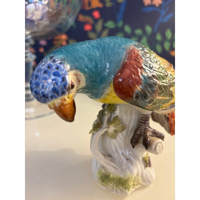Porcelain Figure Parrot from Meissen Porcelain, 1940s For Sale - Image 4 of 7