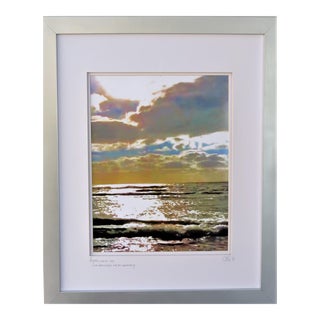 Limited Edition Framed Photography by C. Damien Fox For Sale