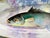 Late 19th Century Antique Continental Hand-Painted Porcelain Fish Platter With Wisteria and Gilt Details – Aesthetic Movement For Sale - Image 5 of 13