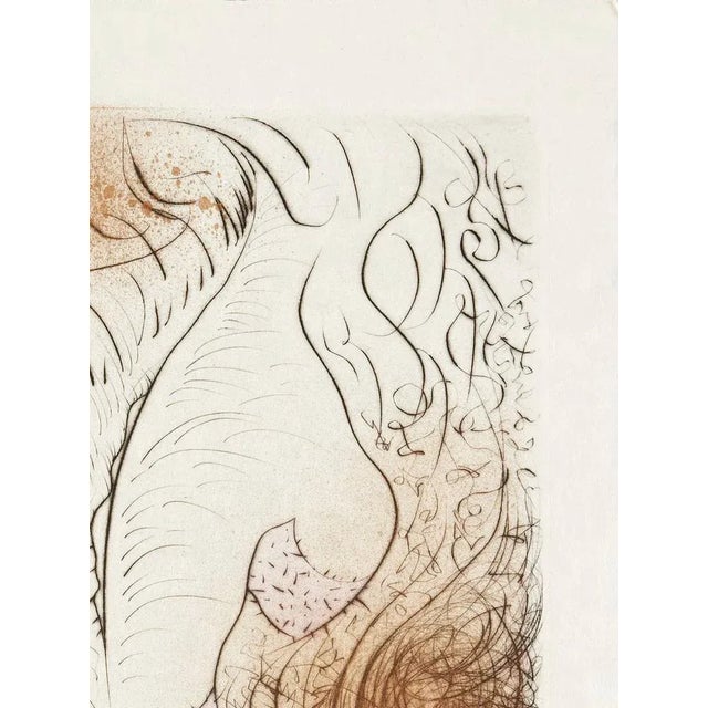 Salvador Dali, Le Torse, 1969, Etching For Sale - Image 3 of 7